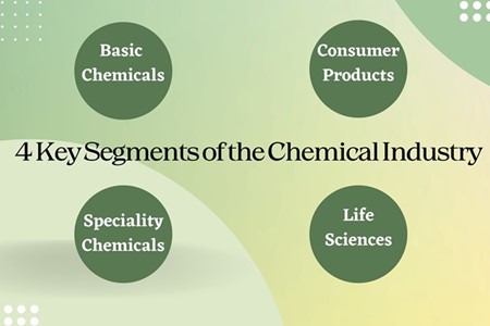 Unveiling the 4 Key   Segments of the Chemical Industry